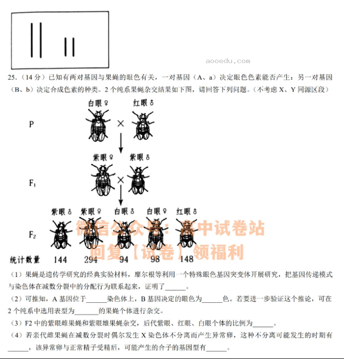 辽宁渤海大学附中2024高三第二次考试生物试题及答案解析