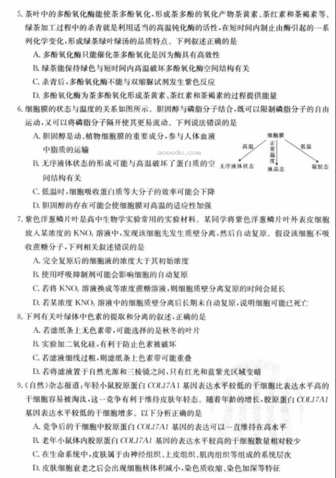 江苏广东福建2024高三金太阳10月百万联考生物试题及答案