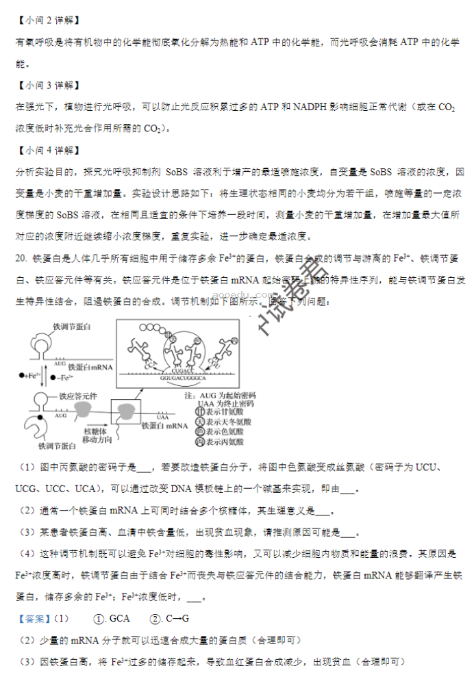 贵州遵义2024高三10月第一次质量检测生物试题及答案解析