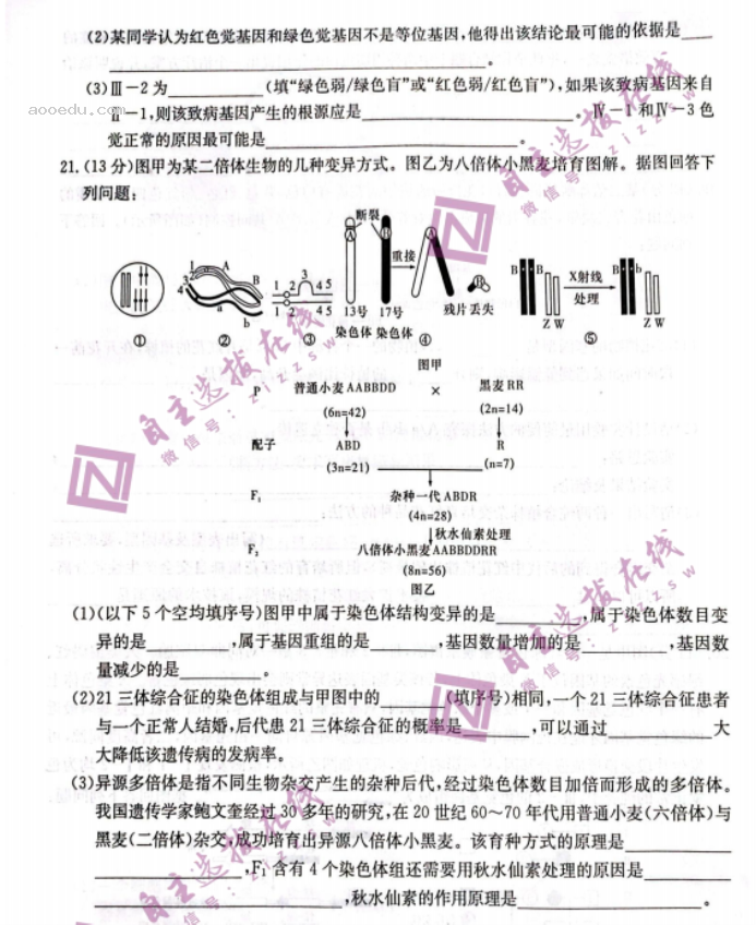 炎德英才名校联考2024高三第三次联考生物试题及答案解析