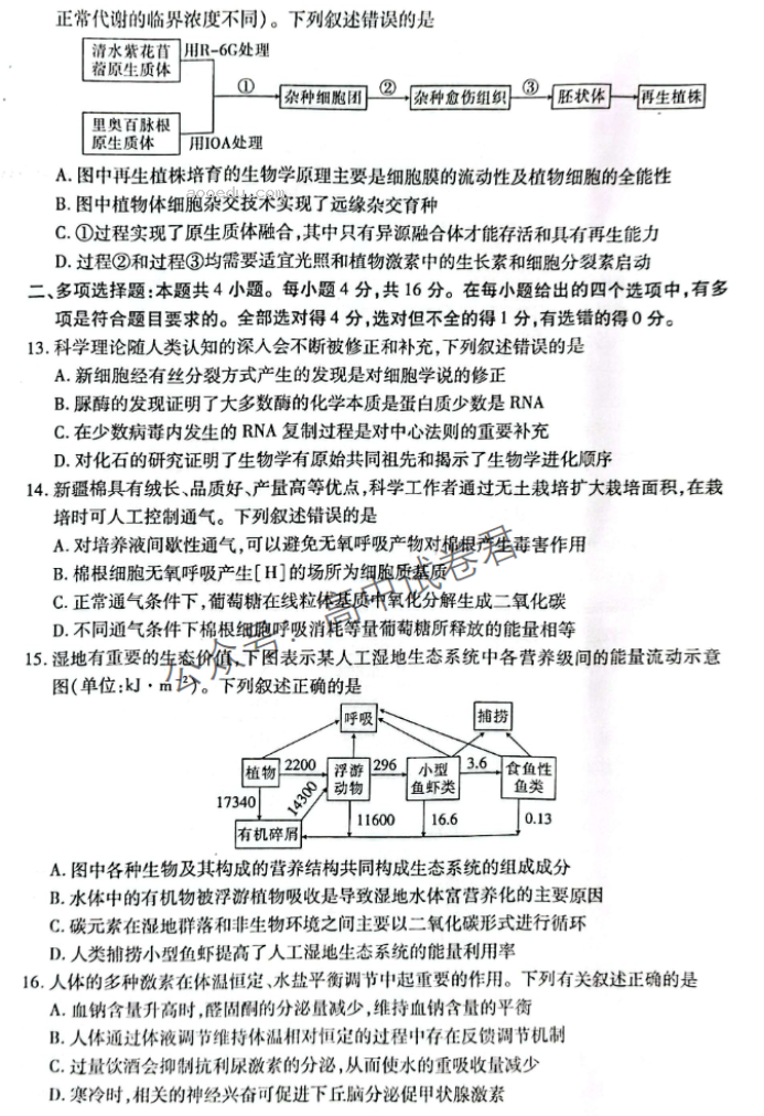 广西2024新高三毕业班10月摸底测试生物试题及答案解析