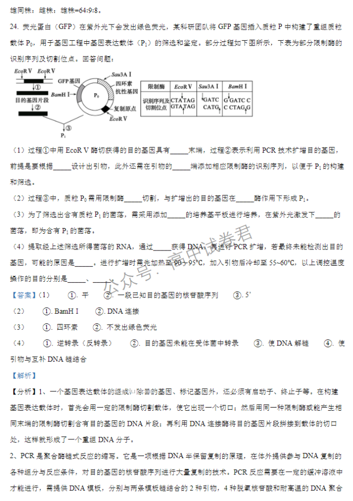 江苏扬州中学2024高三上学期10月月考生物试题及答案解析