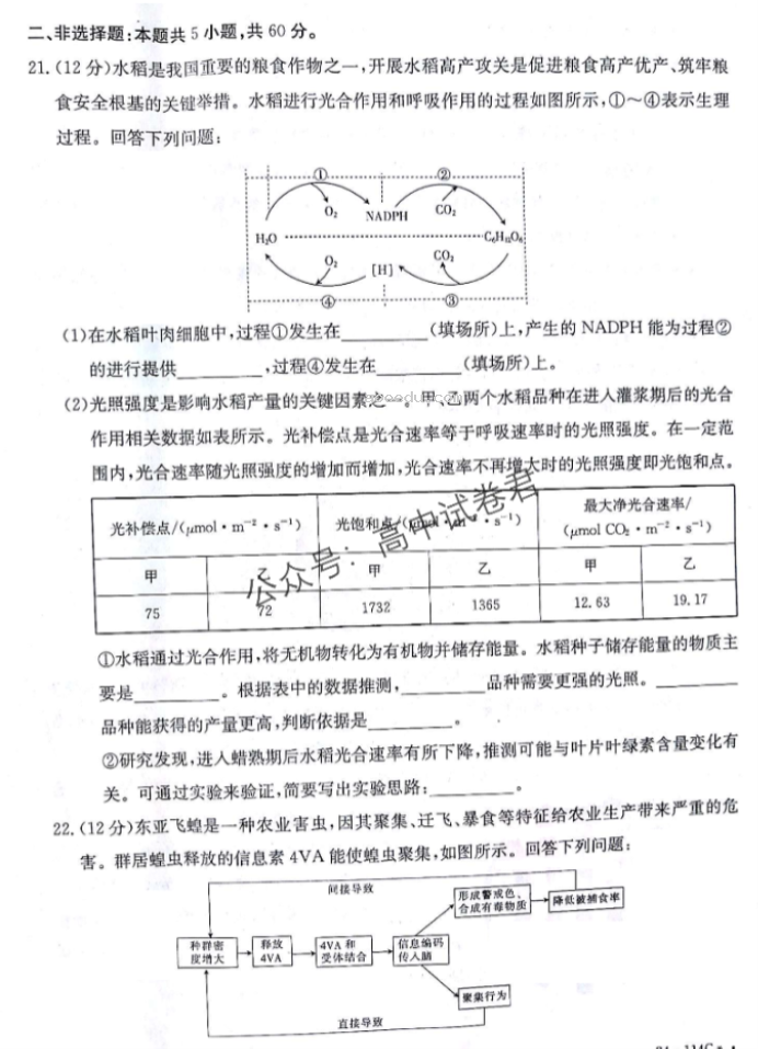 甘肃金太阳2024高三10月阶段检测生物试题及答案解析