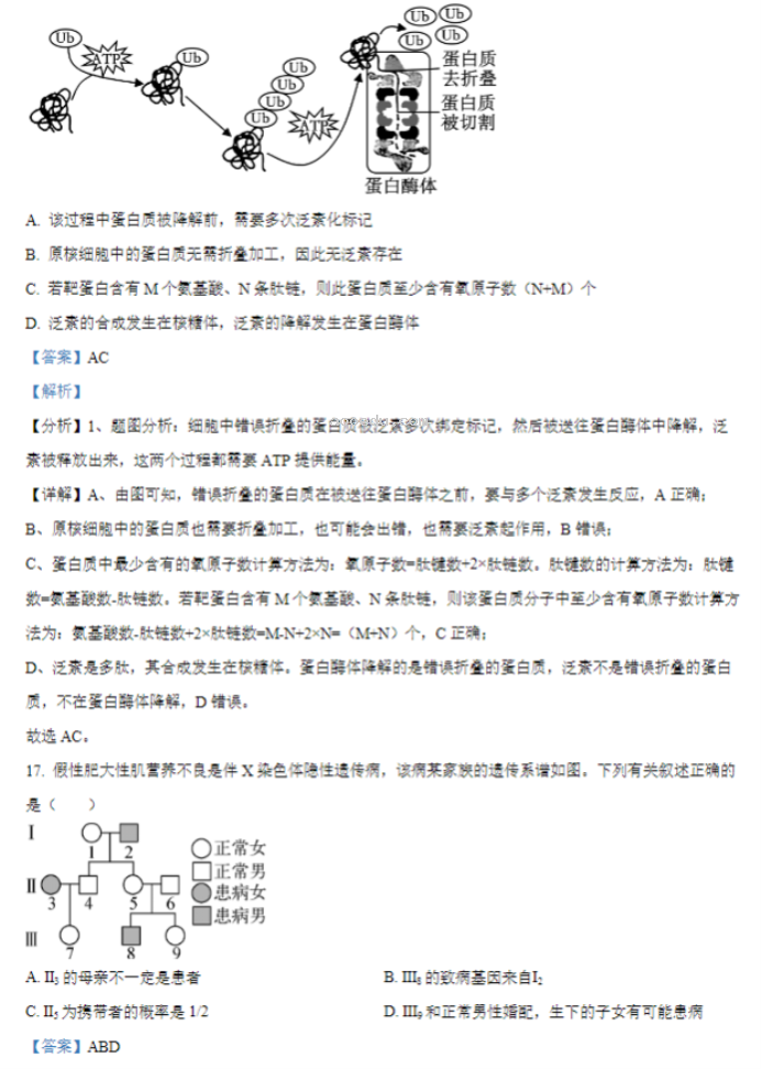 江苏常州联盟学校2024高三10月学情调研生物试题及答案