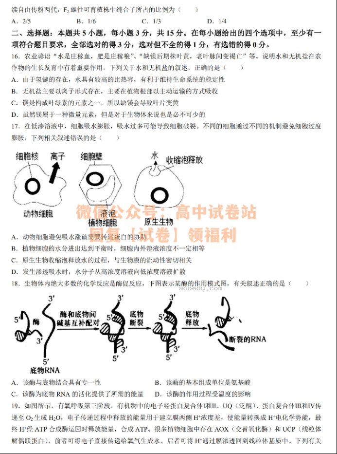 辽宁渤海大学附中2024高三第二次考试生物试题及答案解析