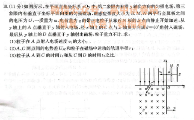 陕西安康重点名校2024高三10月联考物理试题及答案解析