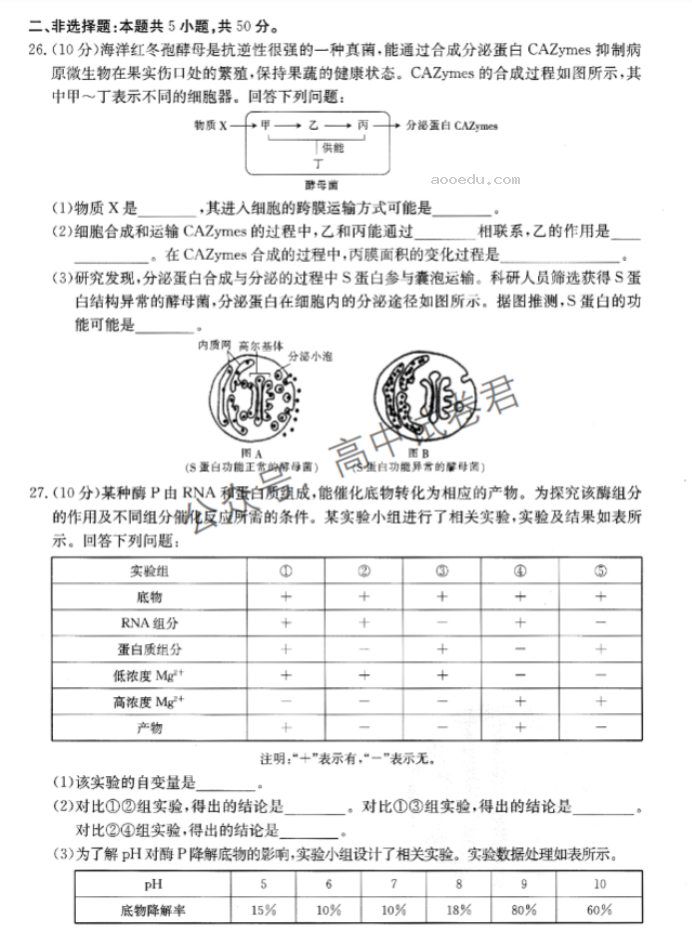 山西金太阳优创名校2024高三10月联考生物试题及答案解析