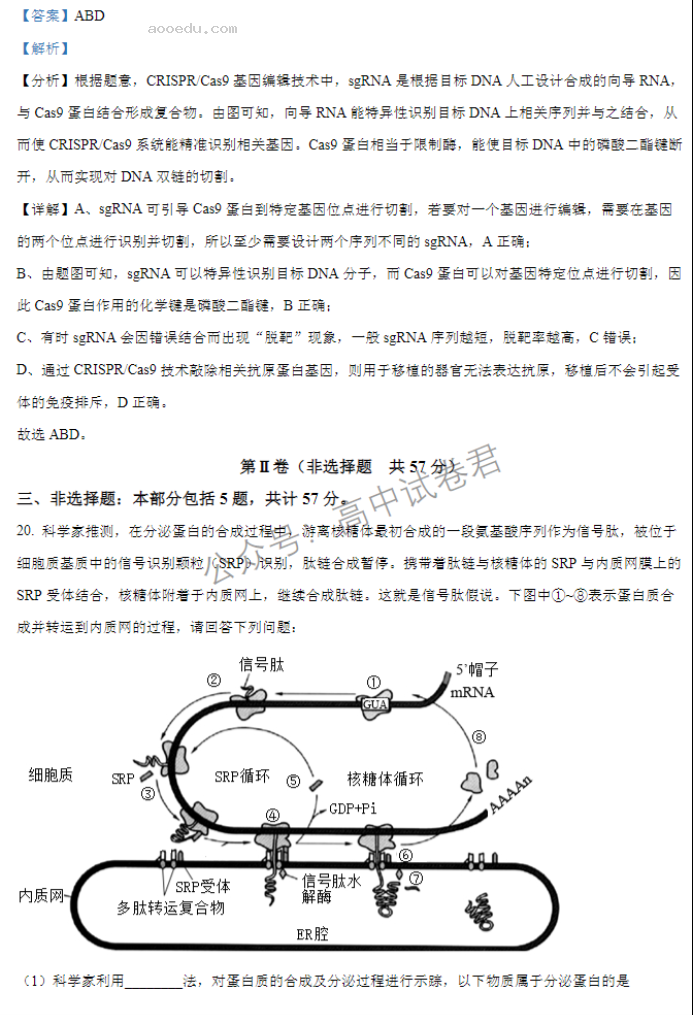 江苏扬州中学2024高三上学期10月月考生物试题及答案解析