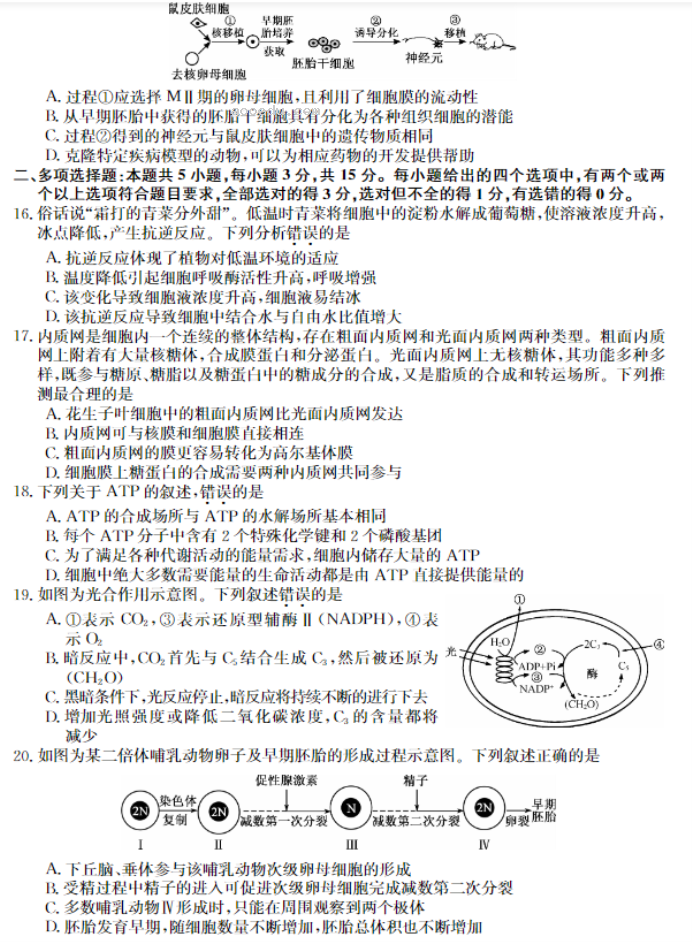 牡丹江二中2024高三第二次阶段性考试生物试题及答案解析