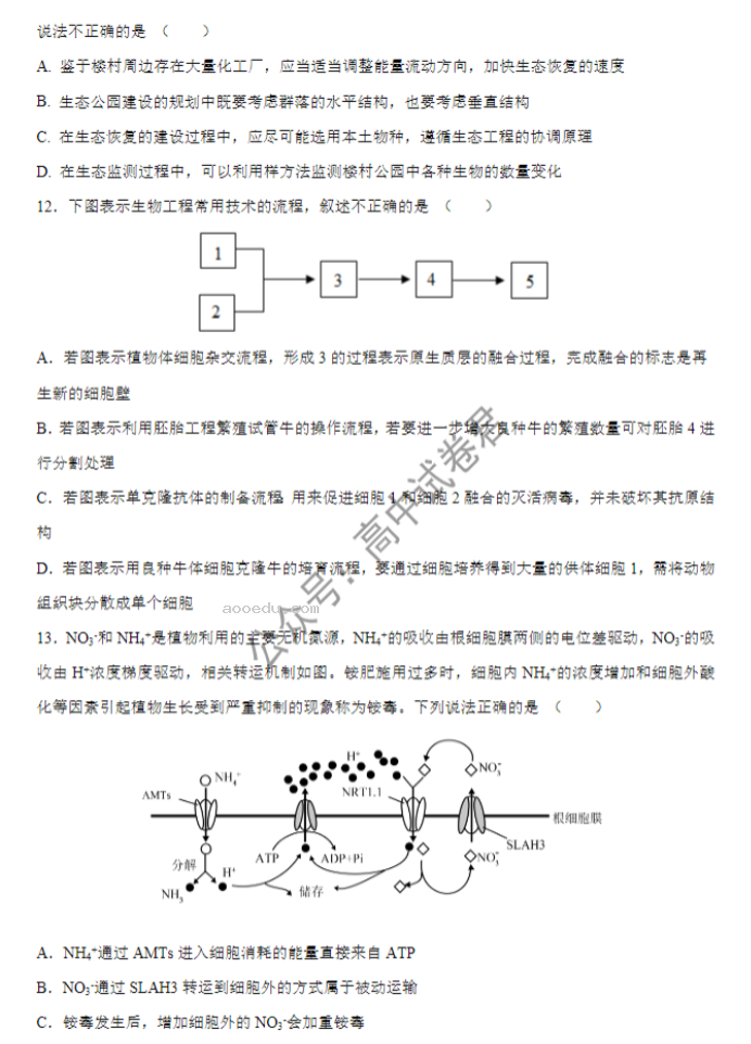 广东四校2024高三10月联考(二)生物试题及答案解析