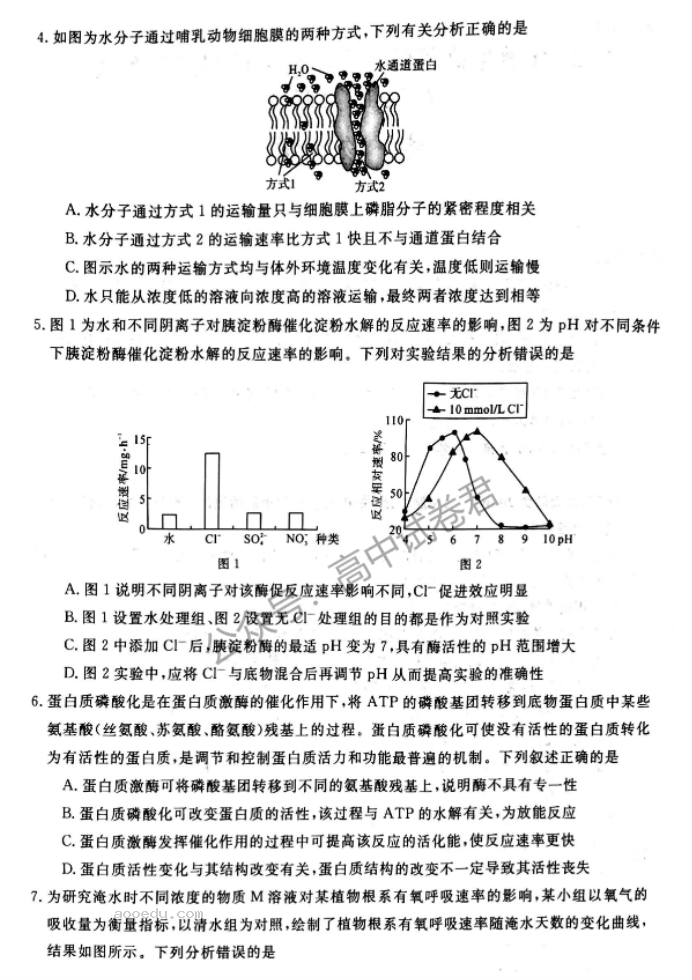 河南新未来2024高三上学期10月联考生物试题及答案解析