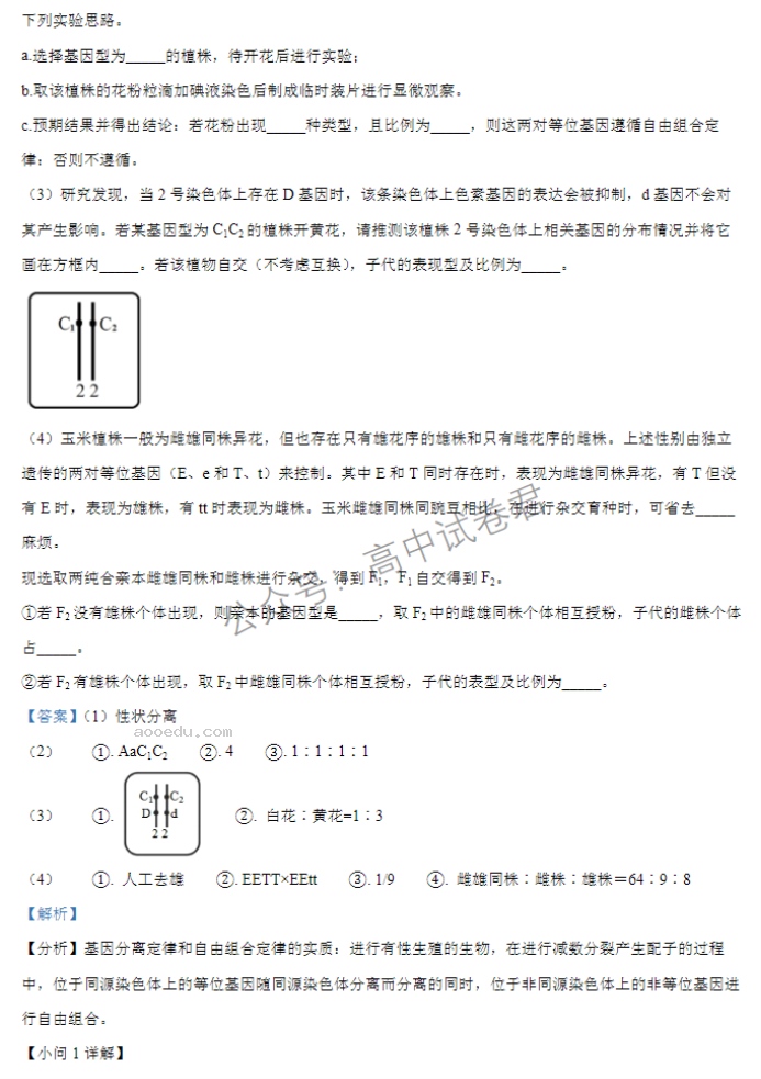 江苏扬州中学2024高三上学期10月月考生物试题及答案解析