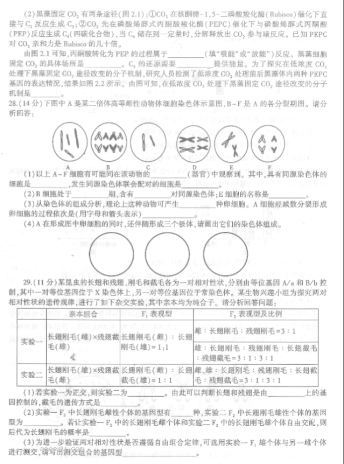 河南信阳2024高三第一次教学质量检测生物试题及答案解析