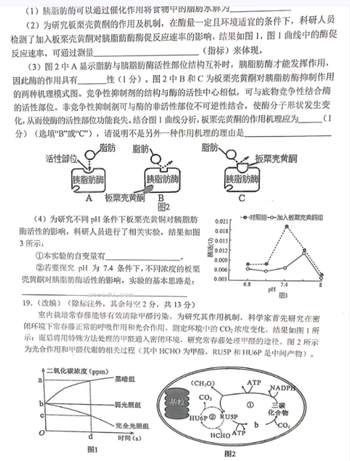 重庆七校2024高三上学期第一次月考生物试题及答案解析