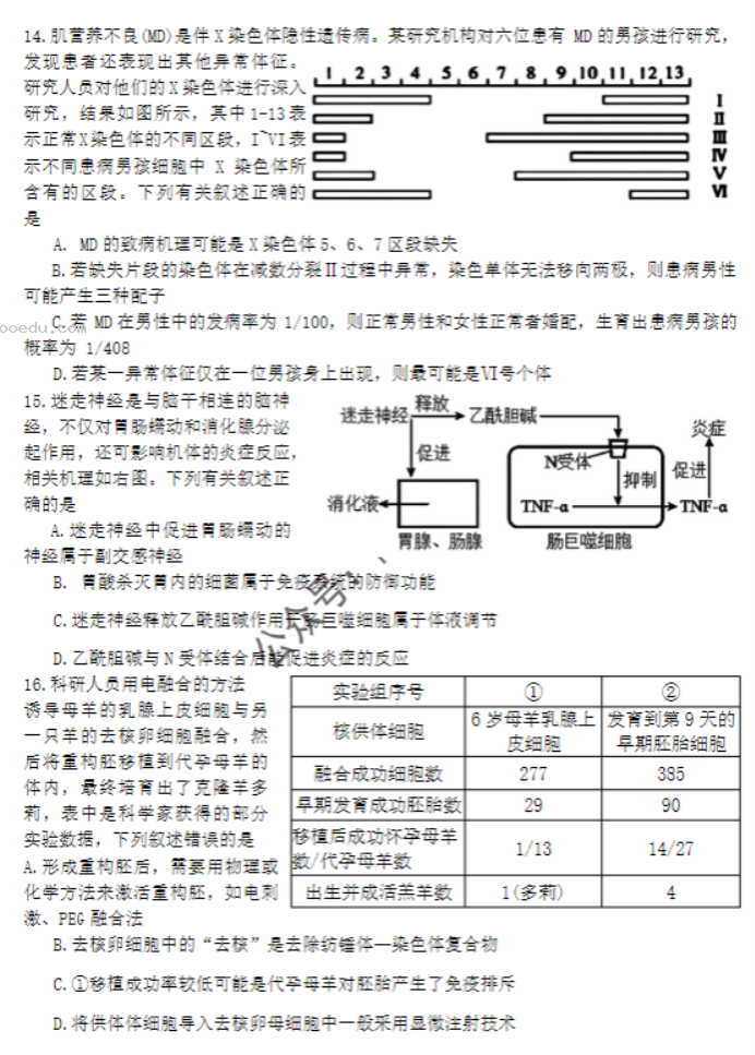 湖南郴州2024高三10月第一次质检生物试题及答案解析