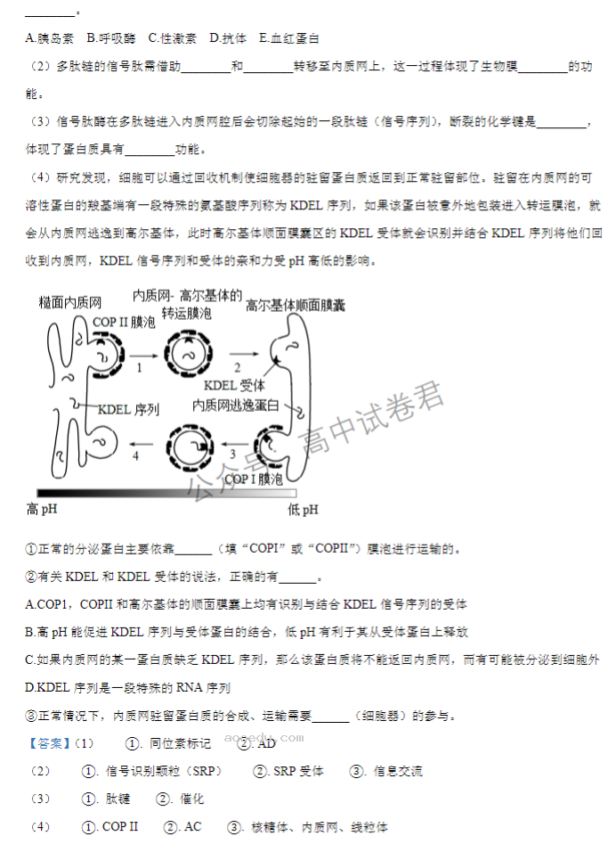 江苏扬州中学2024高三上学期10月月考生物试题及答案解析