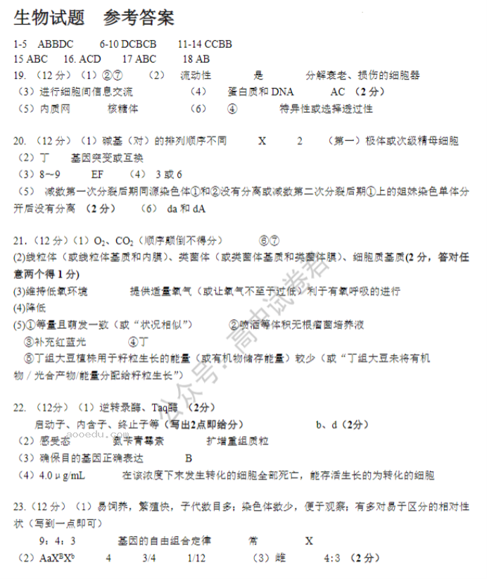 江苏高邮2024高三10月学情调研测试生物试题及答案解析