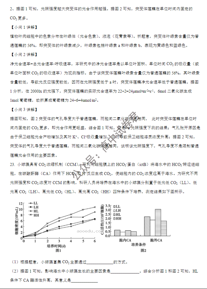 大连市滨城高中联盟2024高三期中考试生物试题及答案解析