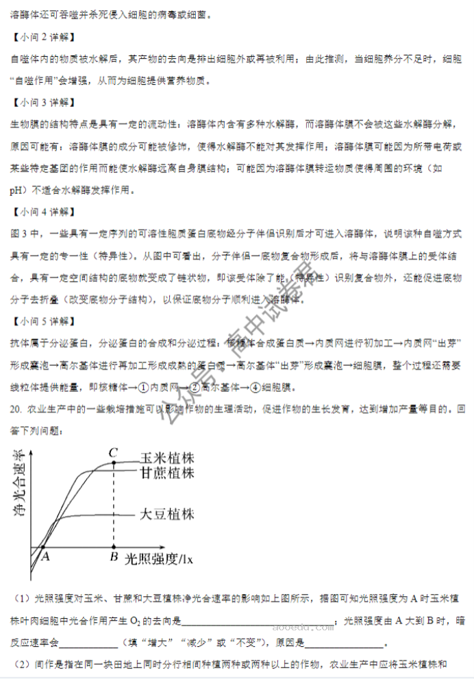 湖北重点高中智学联盟2024高三10月联考生物试题及答案