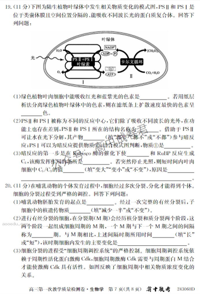 安徽合肥一中2024高三10月月考生物试题及答案解析