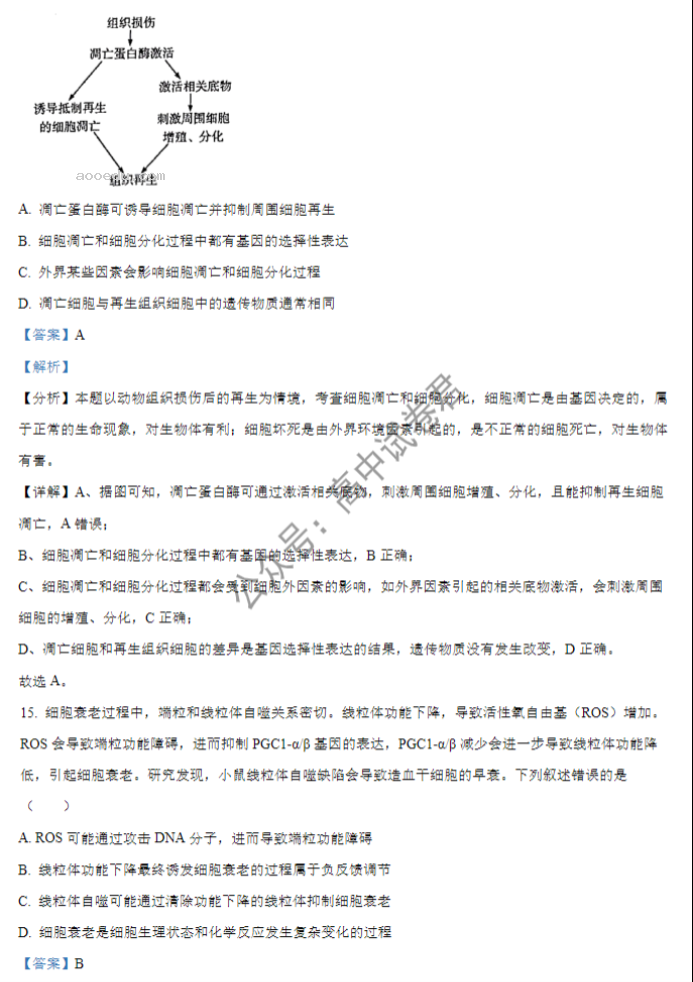 湖北重点高中智学联盟2024高三10月联考生物试题及答案