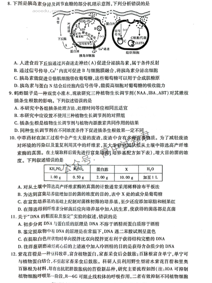 广西2024新高三毕业班10月摸底测试生物试题及答案解析