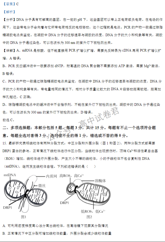 江苏扬州中学2024高三上学期10月月考生物试题及答案解析