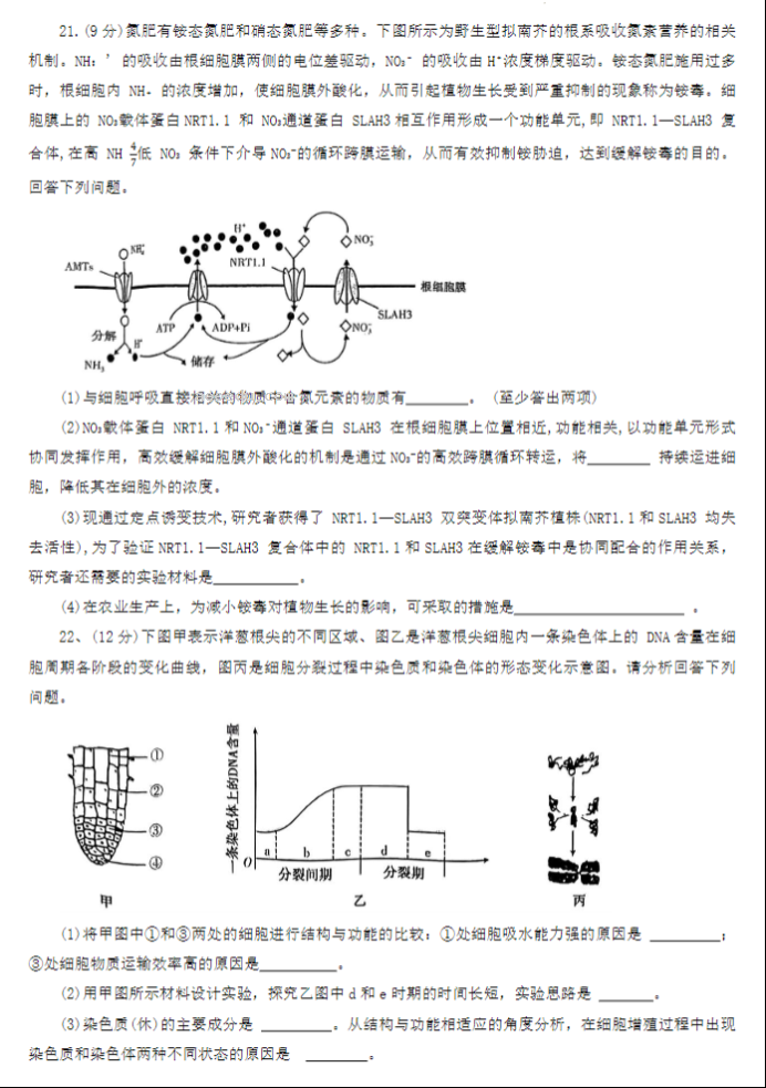 河南洛许平济四市联考2024高三一测生物试题及答案解析