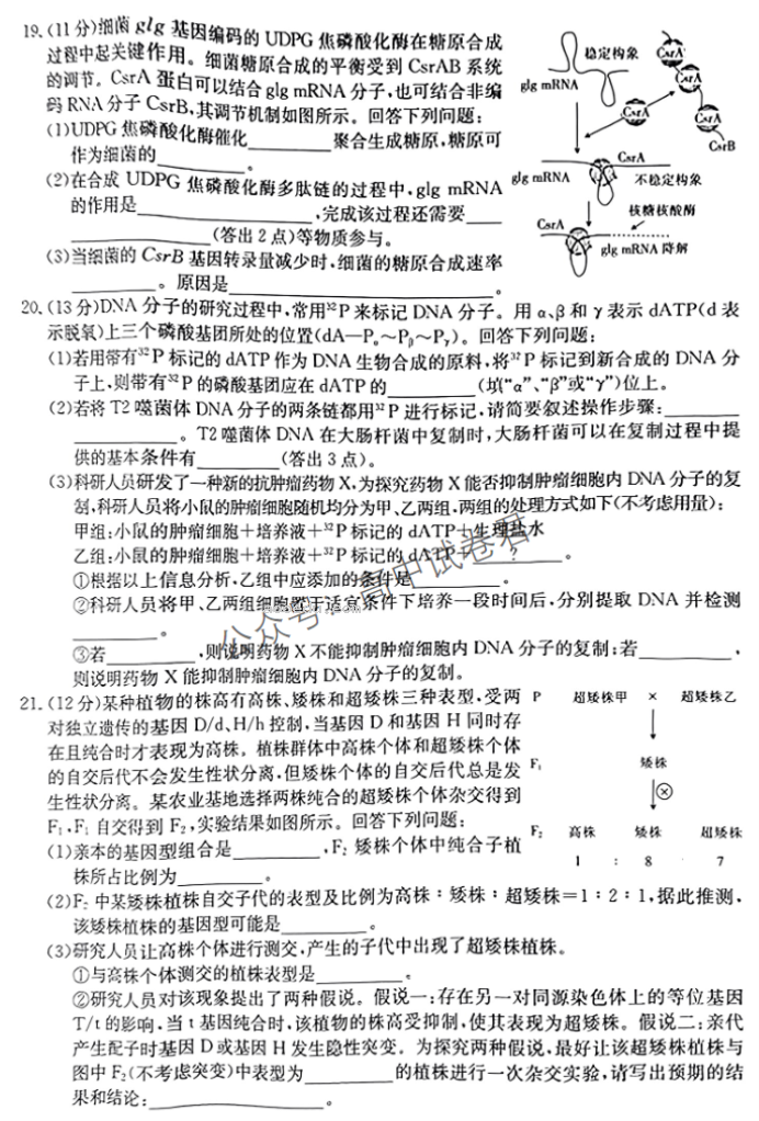 湖南金太阳2024高三10月联考生物试题及答案解析