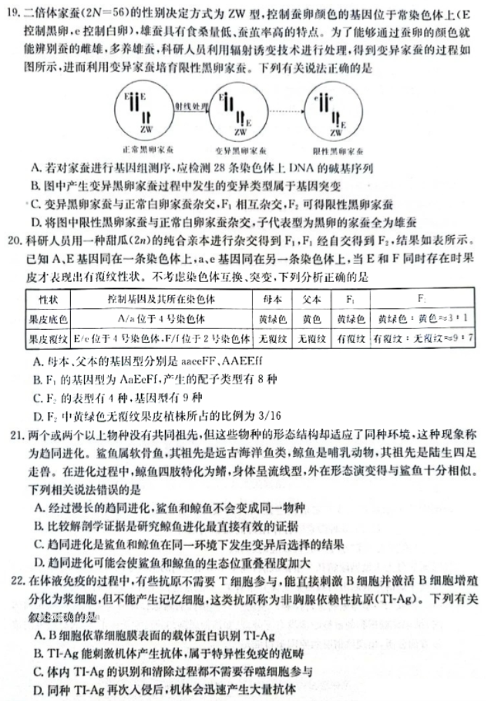 河南金太阳2024高三10月阶段性检测四生物试题及答案解析