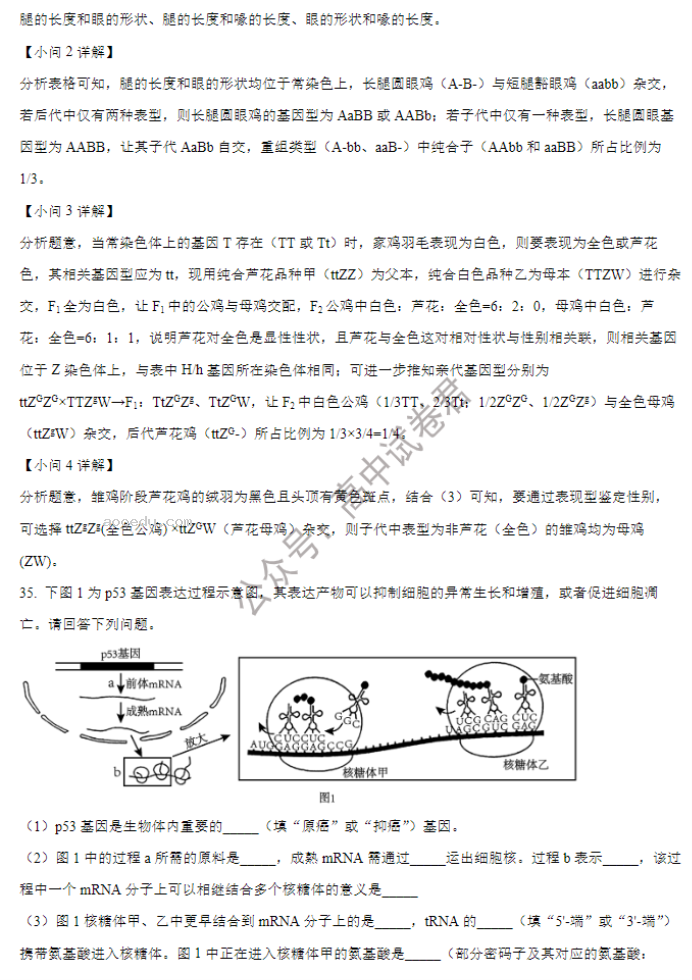 山西大学附中2024高三上学期10月月考生物试题及答案解析