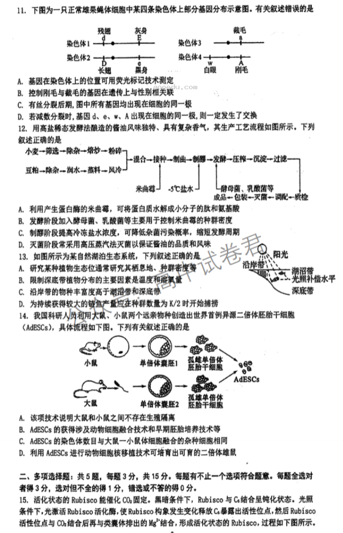 江苏泰州中学2024高三第一次质量检测生物试题及答案解析