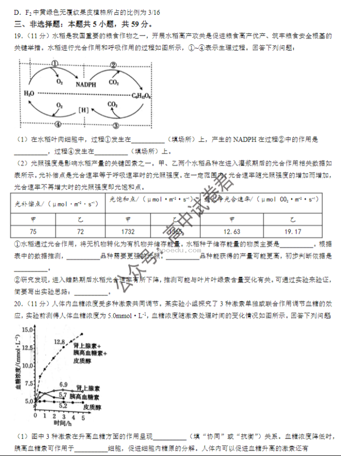 河北金太阳2024高三10月联考生物试题及答案解析