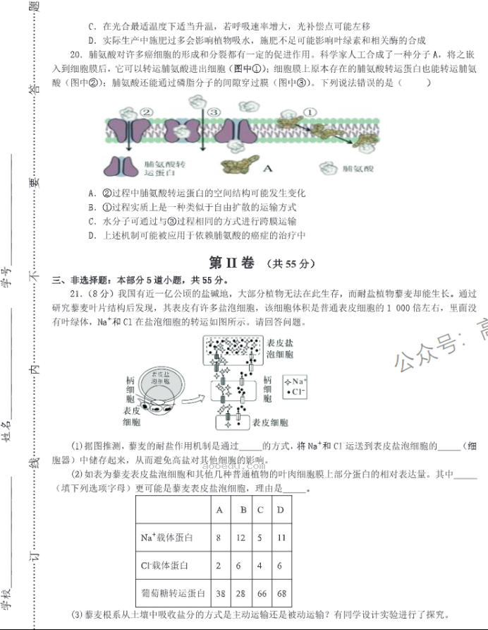 山东中昇2024高三10月大联考生物试题及答案解析