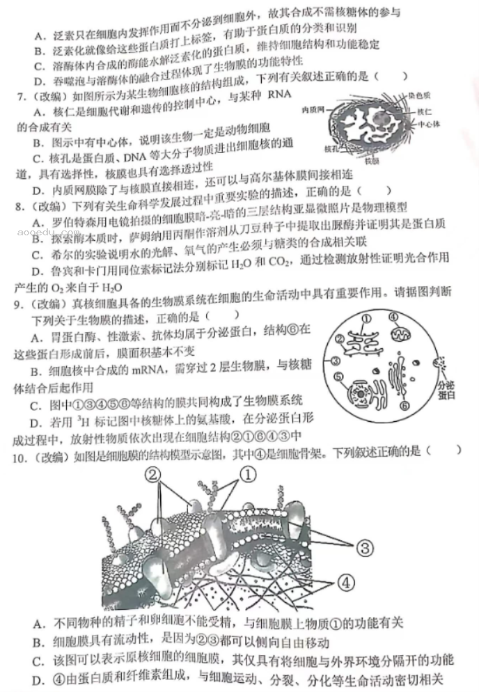 重庆七校2024高三上学期第一次月考生物试题及答案解析