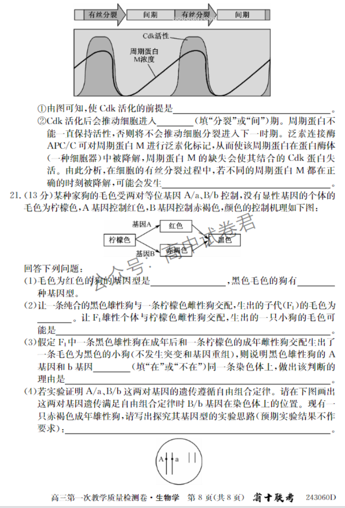 安徽合肥一中2024高三10月月考生物试题及答案解析