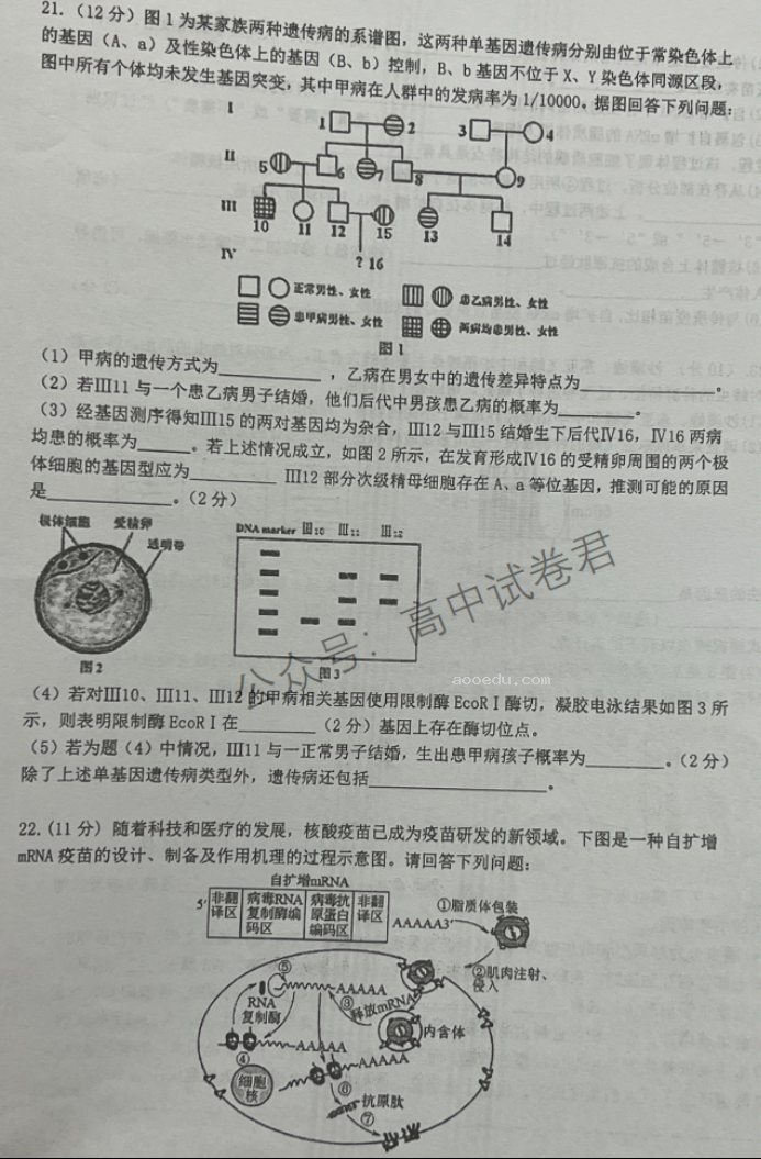 江苏泰州中学2024高三第一次质量检测生物试题及答案解析