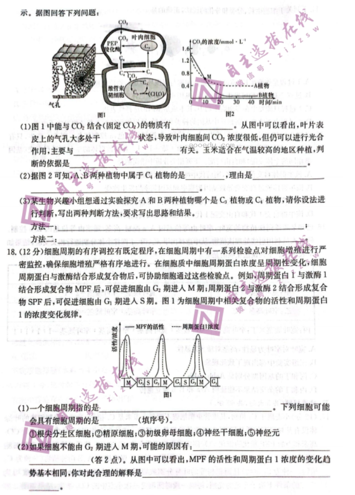 炎德英才名校联考2024高三第三次联考生物试题及答案解析