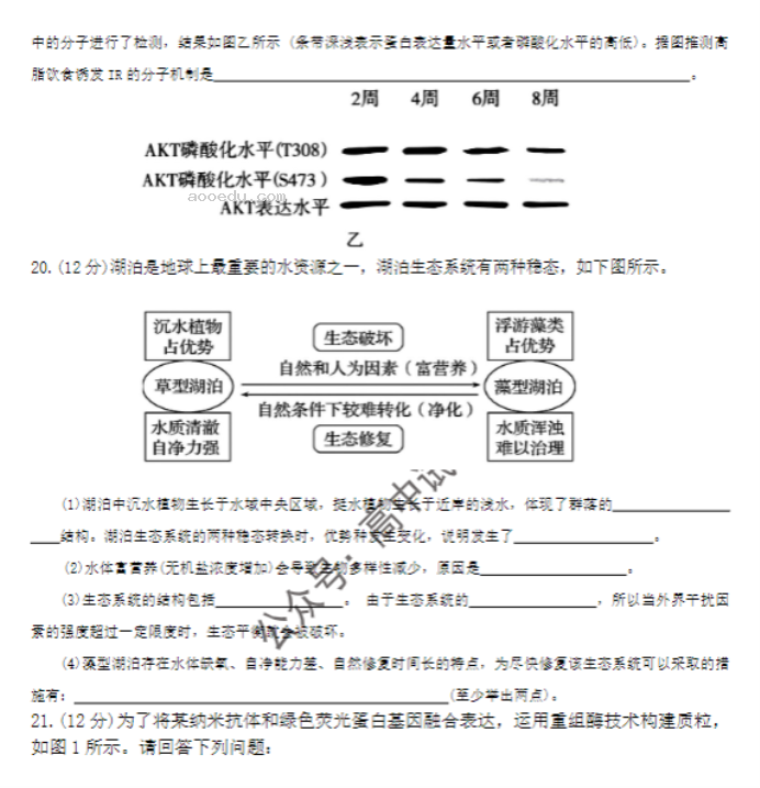 湖南郴州2024高三10月第一次质检生物试题及答案解析