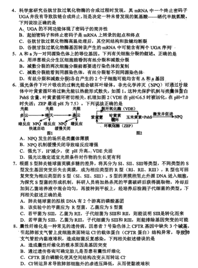 湖北腾云联盟2024高三10月联考生物试题及答案解析