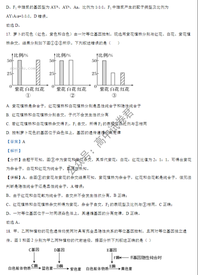 湖北重点高中智学联盟2024高三10月联考生物试题及答案