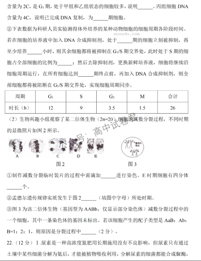 江苏淮安五校联盟2024高三10月联考生物试题及答案解析