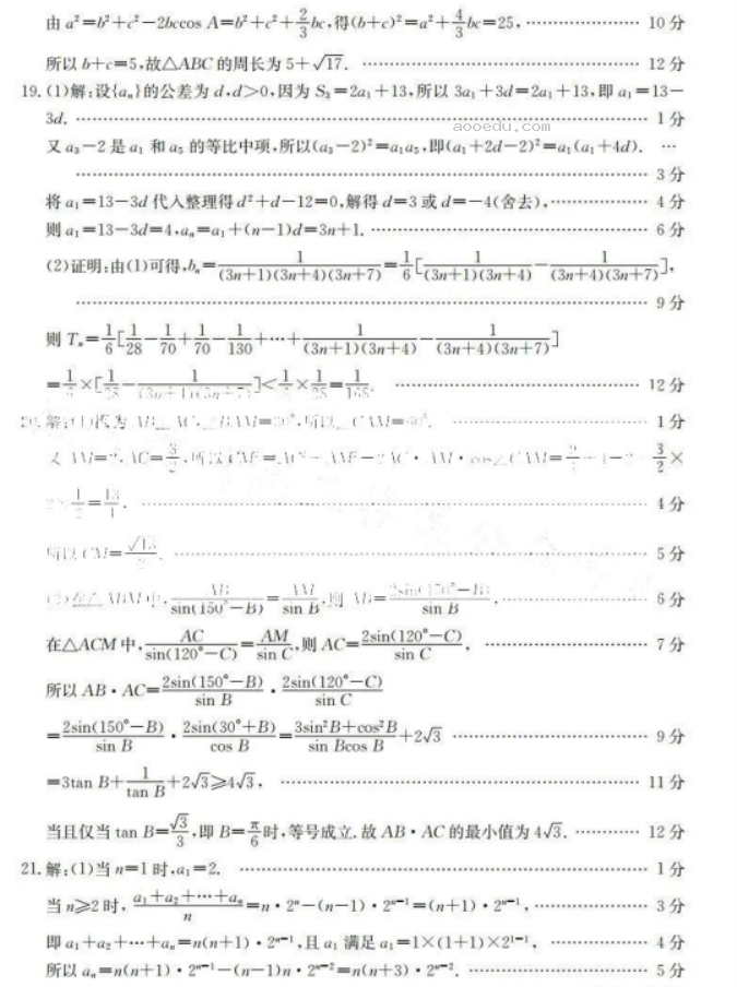 河南金太阳2024高三10月大联考数学试题及答案解析