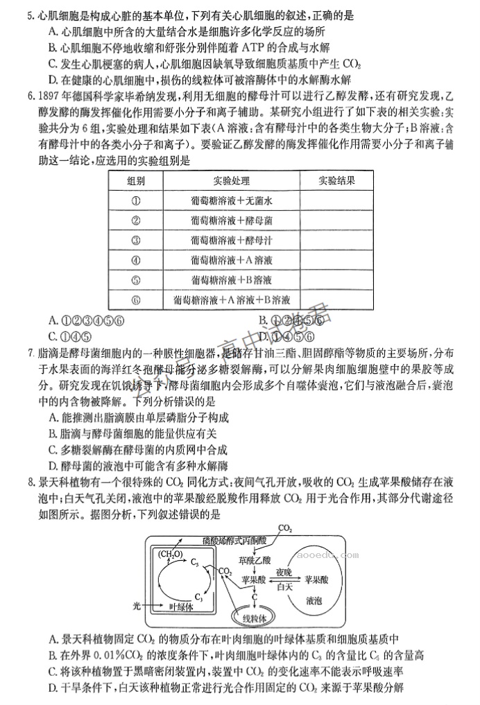 安徽皖南八校2024高三10月联考生物试题及答案解析