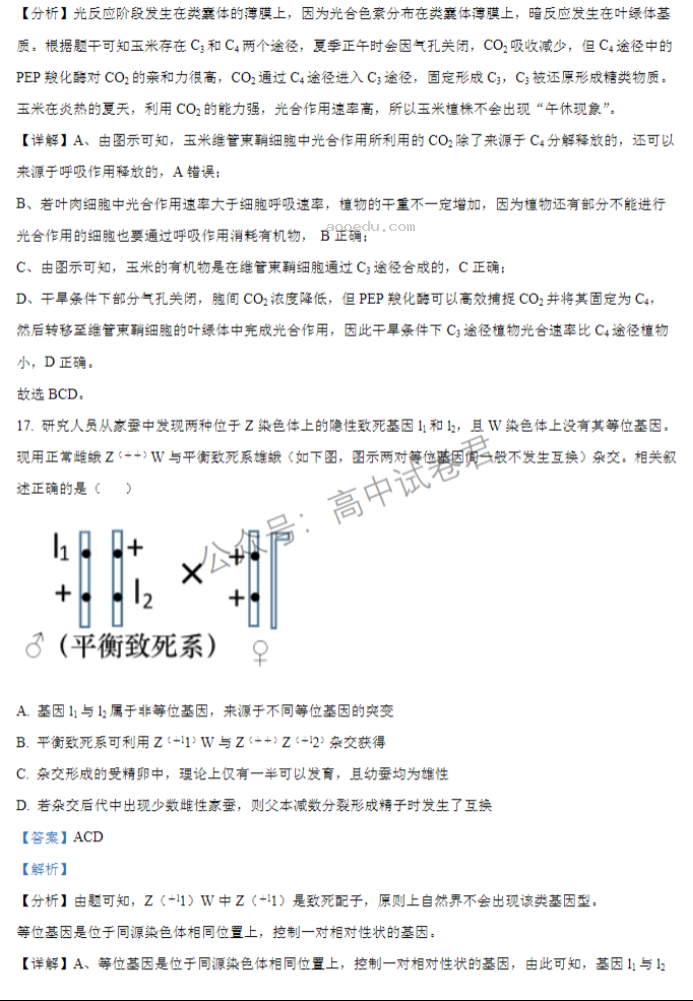 江苏扬州中学2024高三上学期10月月考生物试题及答案解析