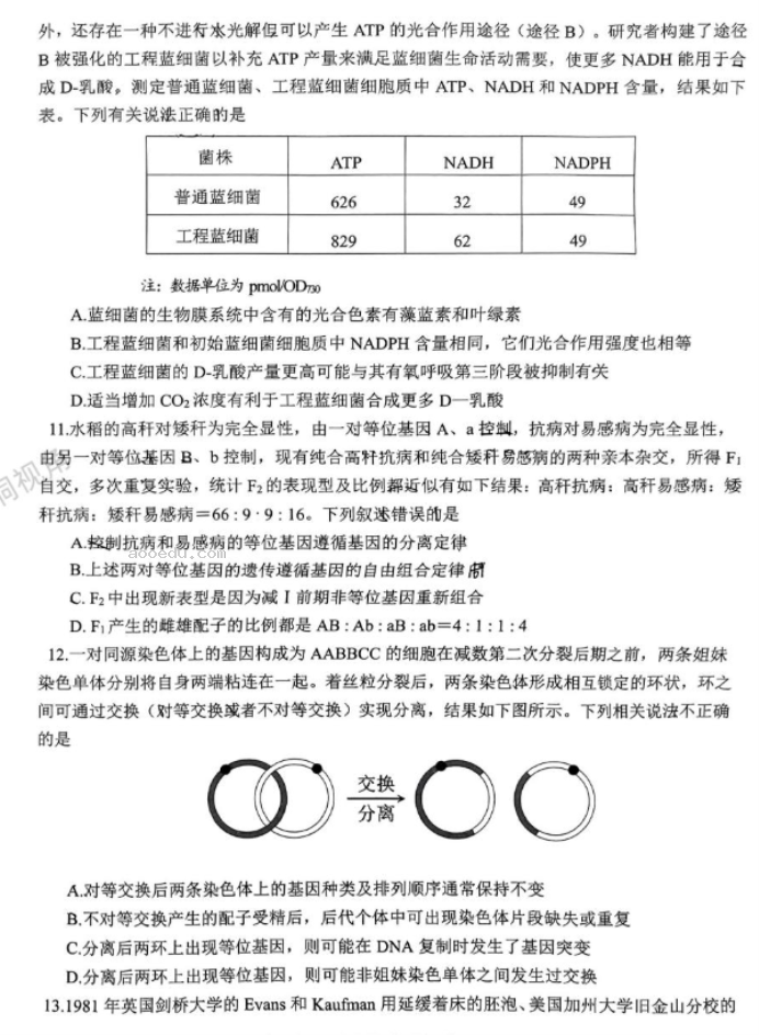 重庆拔尖强基联盟2024高三10月联考生物试题及答案解析