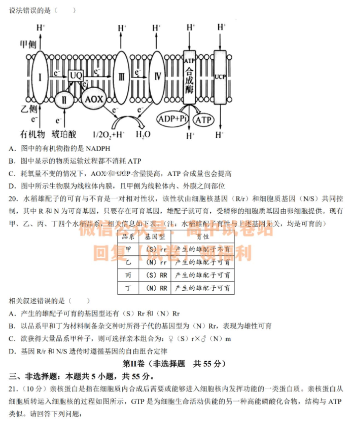 辽宁渤海大学附中2024高三第二次考试生物试题及答案解析