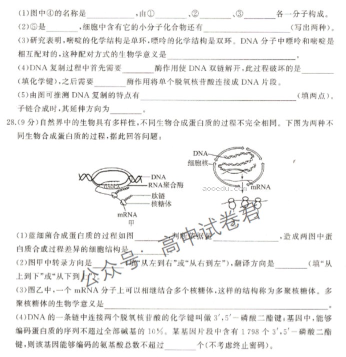 新教材百师联盟2024高三10月联考二生物试题及答案解析