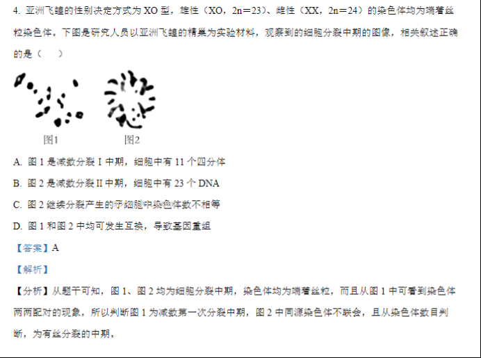 江苏常州联盟学校2024高三10月学情调研生物试题及答案