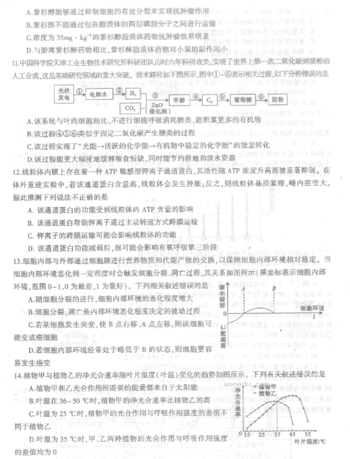 河南信阳2024高三第一次教学质量检测生物试题及答案解析